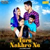 About Tere Nakhre Ne Song